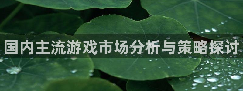 usdt用什么钱包储存：国内主流游戏市场分析与策略探讨