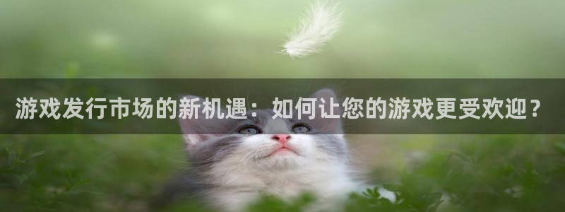 usdt 官方下载